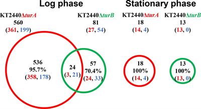 H-NS Family Proteins Drastically Change Their Targets in Response to the Horizontal Transfer of the Catabolic Plasmid pCAR1